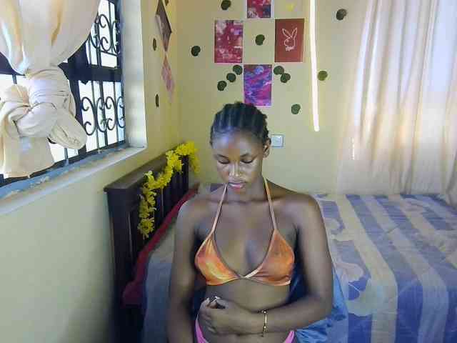 Ambrosiana webcam