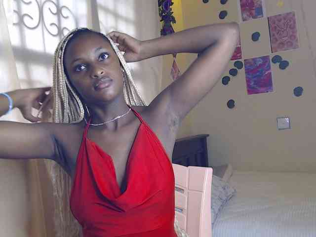 Ambrosiana webcam
