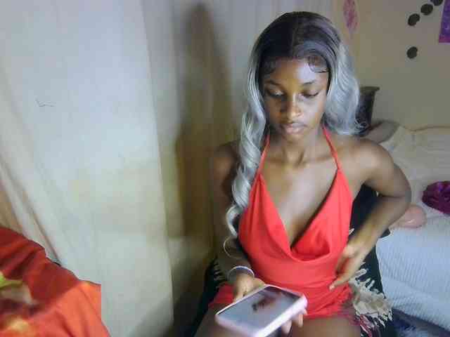 Ambrosiana webcam