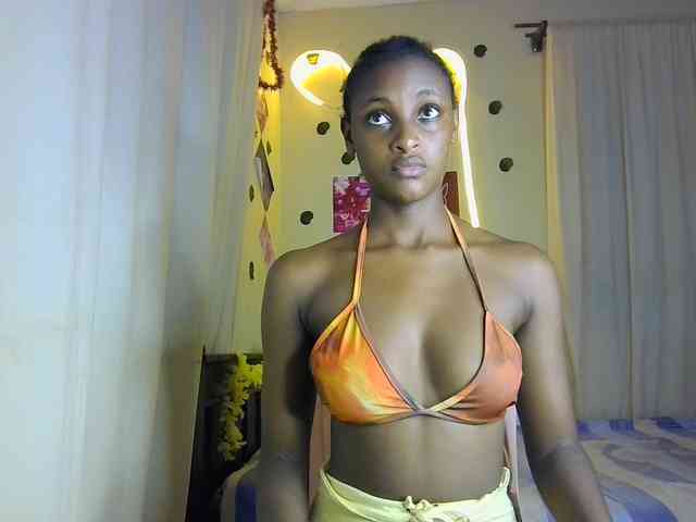 Ambrosiana webcam