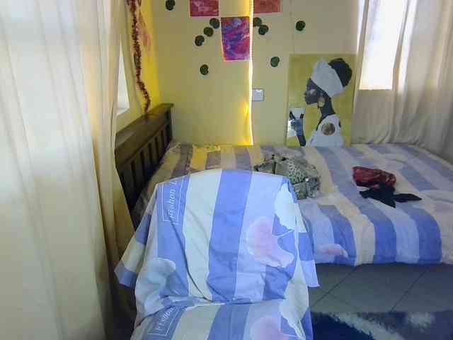 Ambrosiana webcam