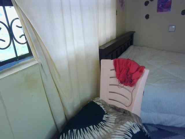 Ambrosiana webcam