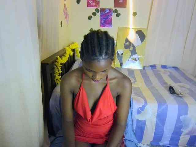 Ambrosiana webcam