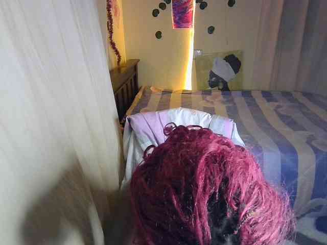 Ambrosiana webcam