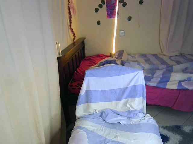Ambrosiana webcam