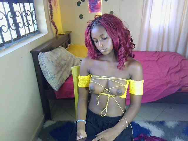 Ambrosiana webcam