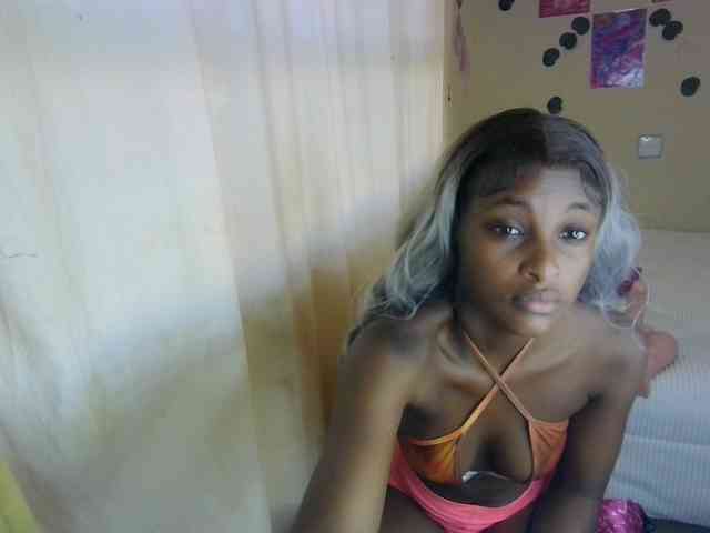 Ambrosiana webcam