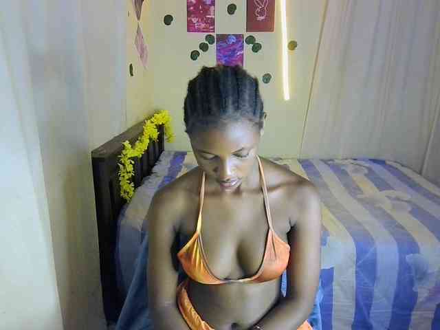 Ambrosiana webcam