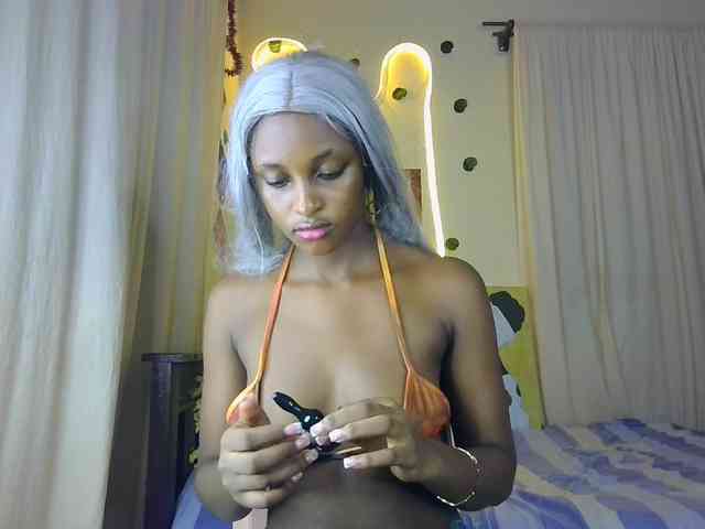 Ambrosiana webcam