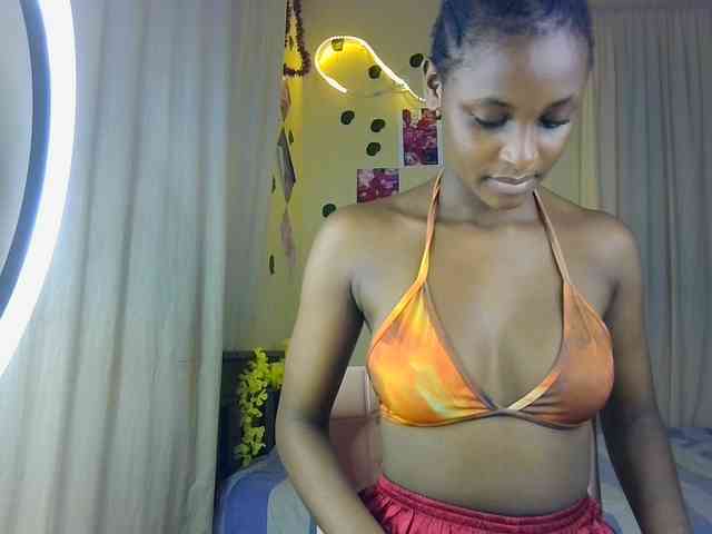 Ambrosiana webcam
