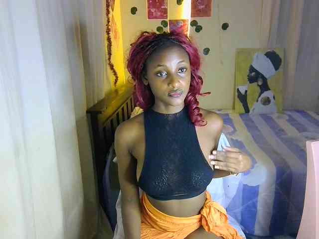 Ambrosiana webcam