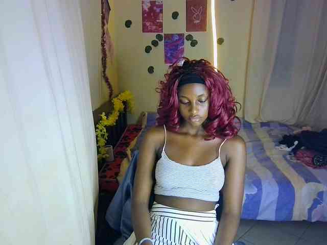 Ambrosiana webcam