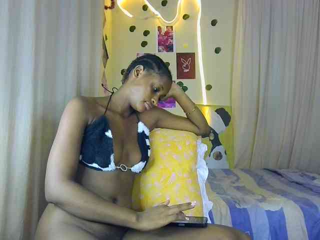 Ambrosiana webcam