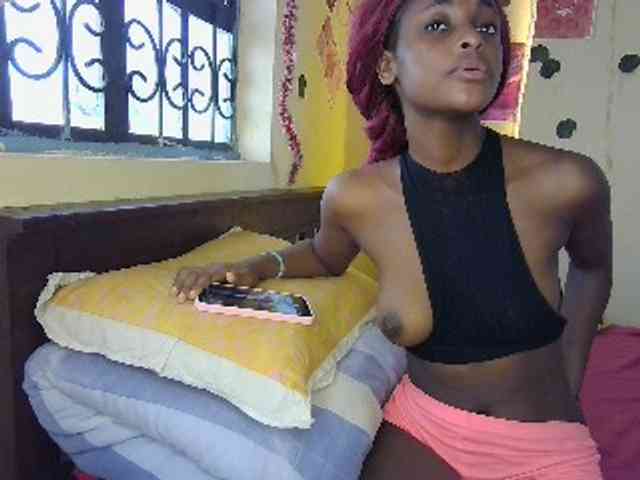 Ambrosiana webcam