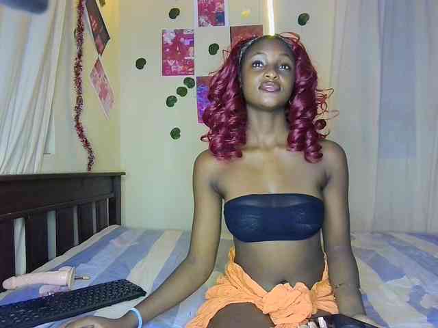 Ambrosiana webcam