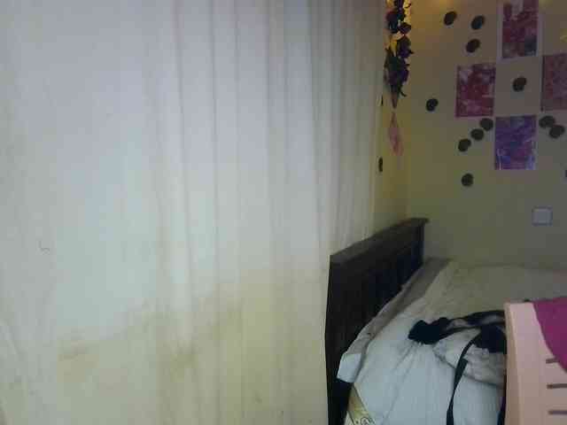 Ambrosiana webcam