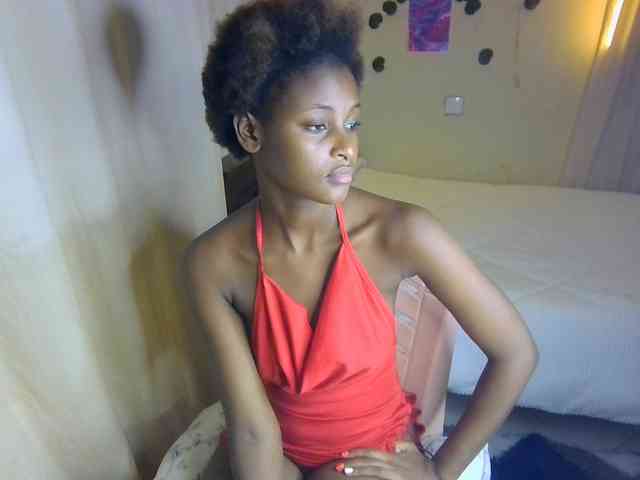 Ambrosiana webcam