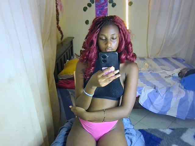 Ambrosiana webcam