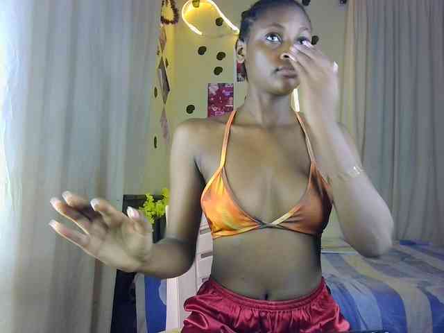 Ambrosiana webcam