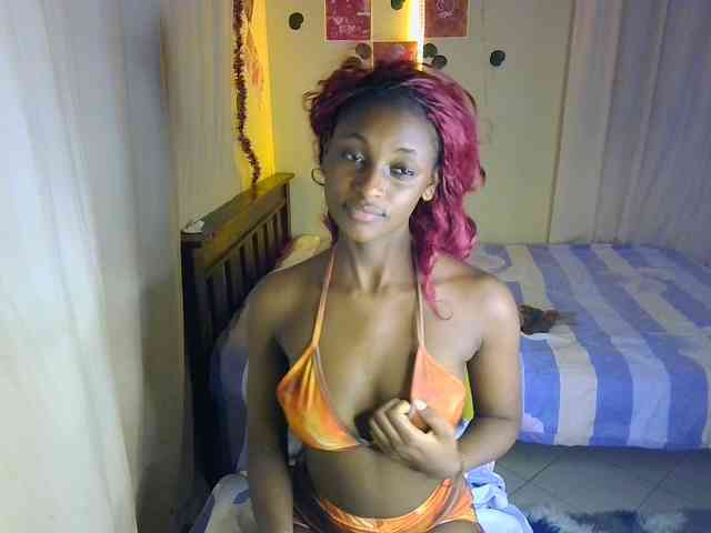 Ambrosiana webcam