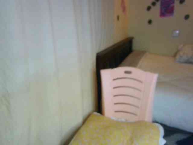 Ambrosiana webcam
