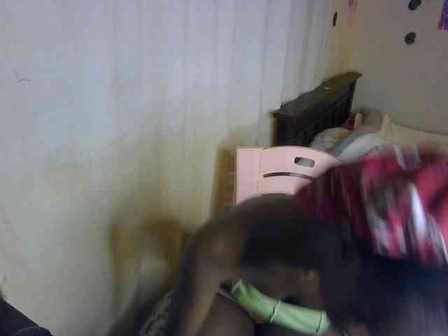Ambrosiana webcam
