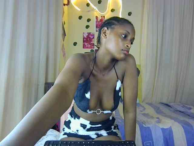 Ambrosiana webcam