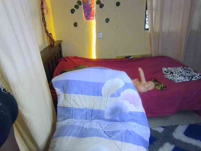 Ambrosiana webcam