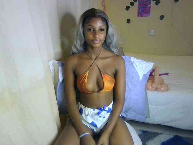 Ambrosiana webcam