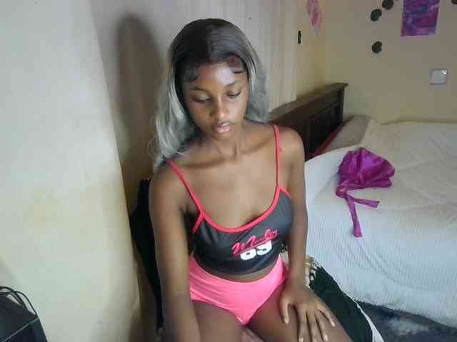 Ambrosiana webcam
