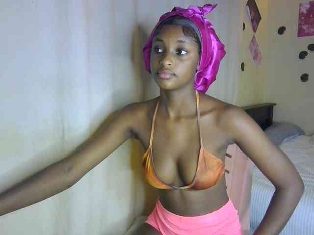 Ambrosiana webcam