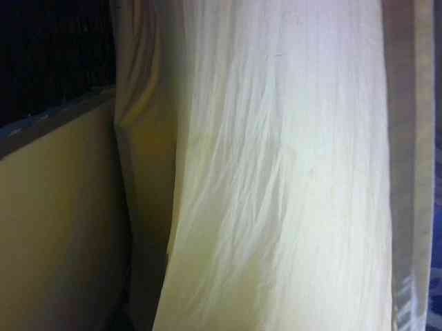Ambrosiana webcam