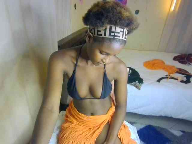 Ambrosiana webcam