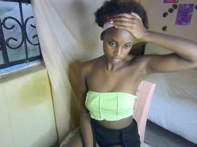 Ambrosiana webcam
