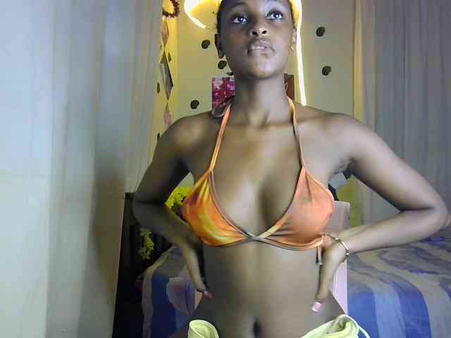 Ambrosiana webcam