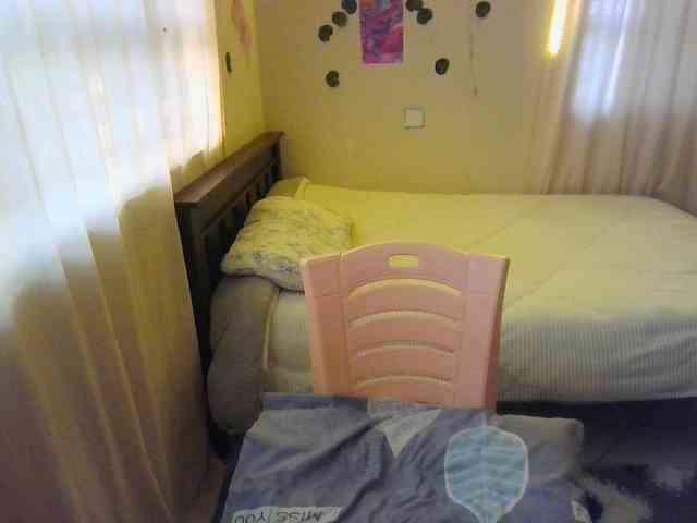 Ambrosiana webcam