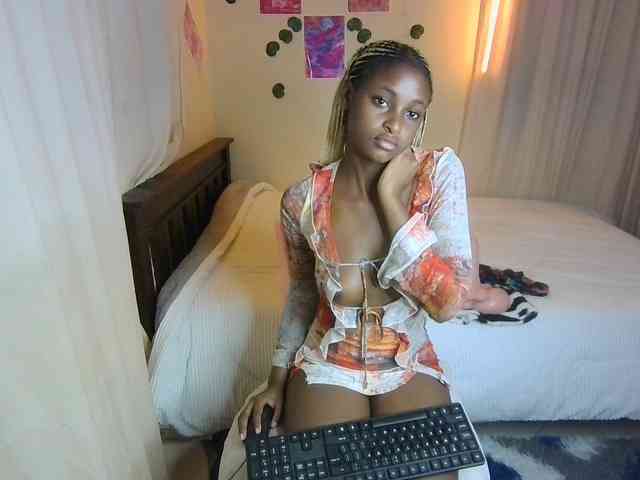 Ambrosiana webcam