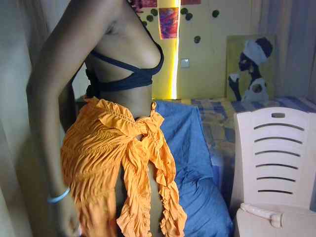 Ambrosiana webcam