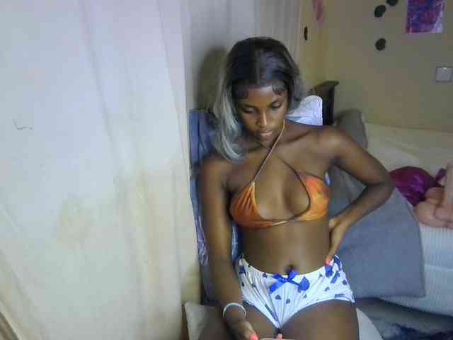 Ambrosiana webcam