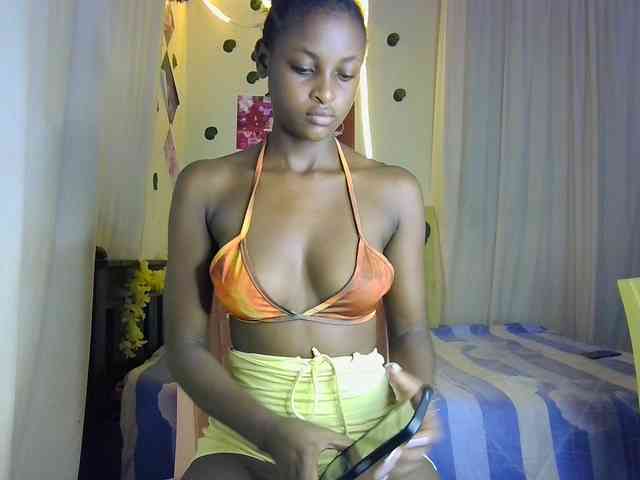 Ambrosiana webcam