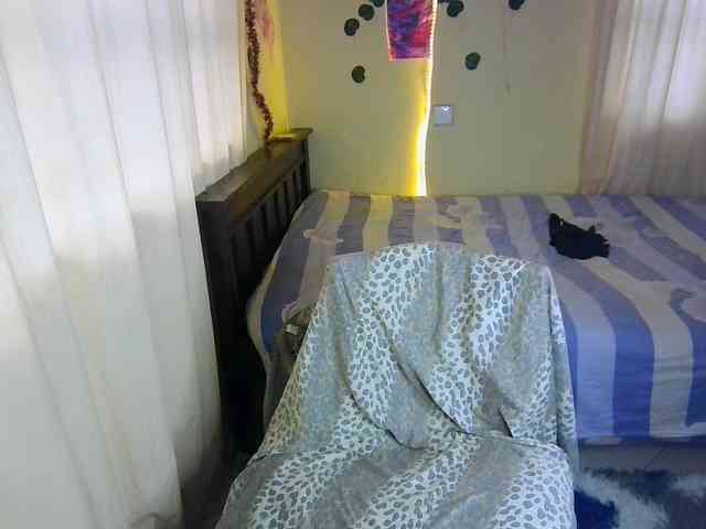 Ambrosiana webcam