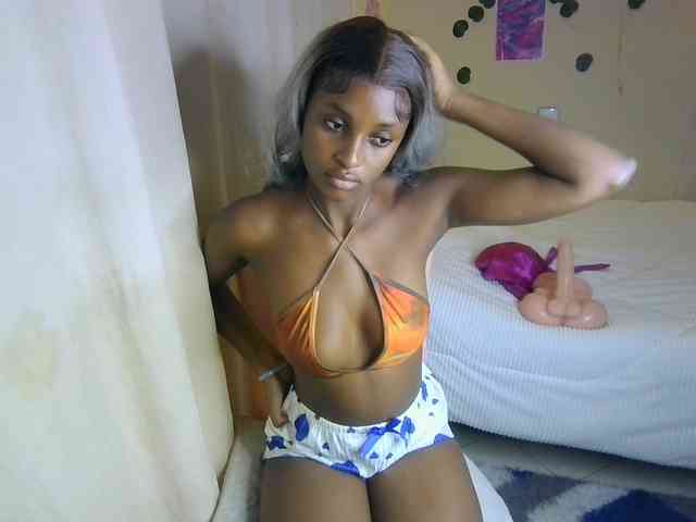 Ambrosiana webcam