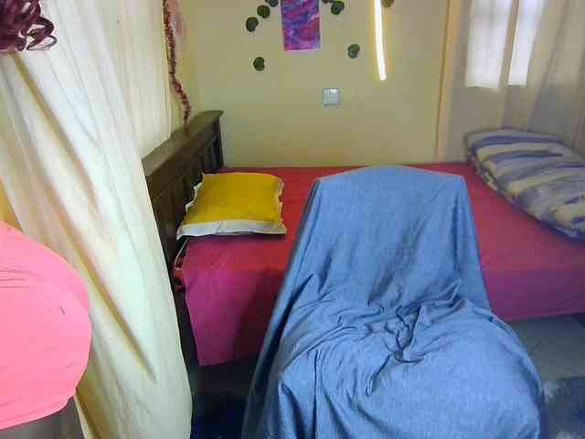 Ambrosiana webcam