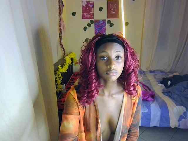 Ambrosiana webcam
