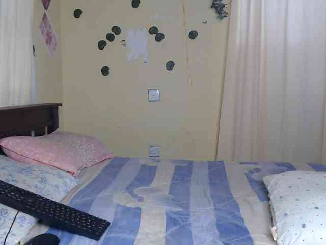 Ambrosiana webcam