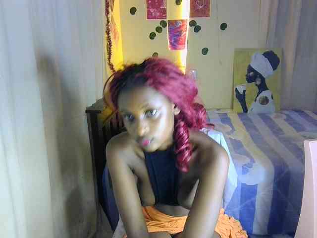 Ambrosiana webcam