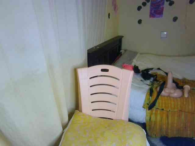 Ambrosiana webcam