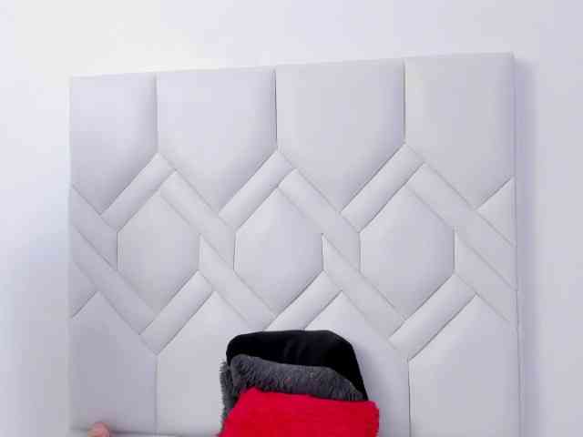 Amelia02 webcam