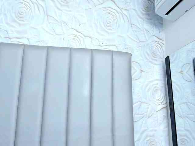 Amelia02 webcam