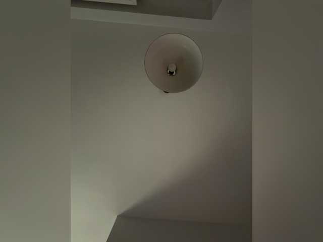 MyshkaNiks